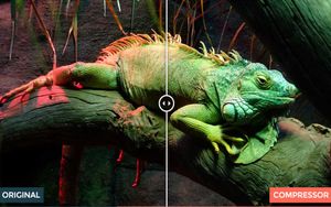 Optimizar y comprimir imágenes sin perder calidad de forma gratuita