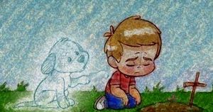 Perder una mascota duele más de lo que la gente piensa